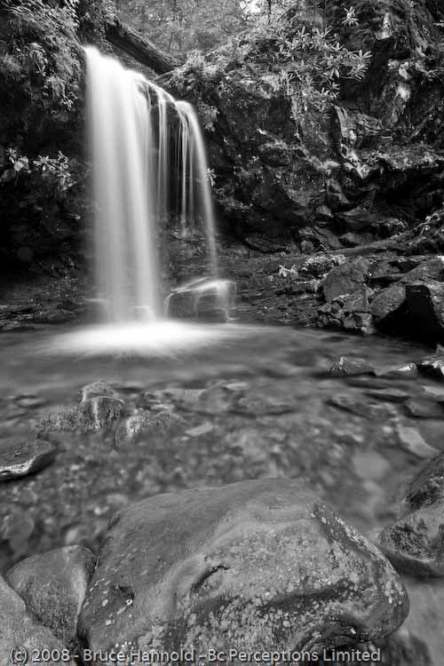 GROTTO FALLS STUDY 1